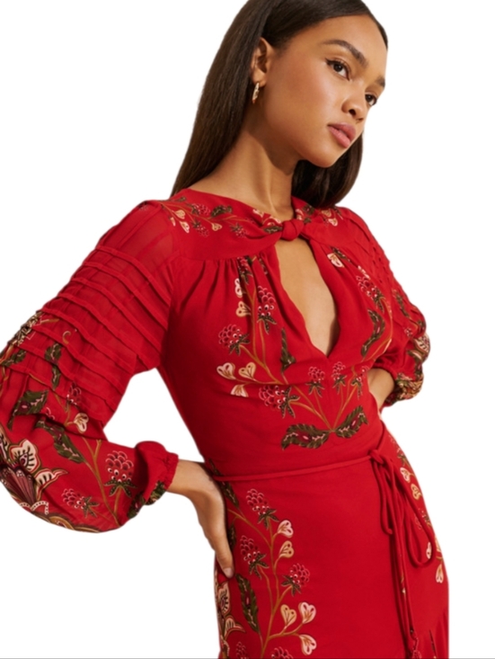 Farm Rio Berry Garden Pleated Maxi Dress - Picture 4 of 8